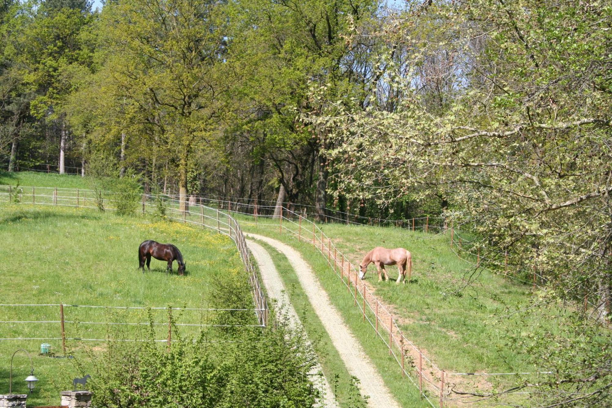 La Casa Di Campagna Bergamo